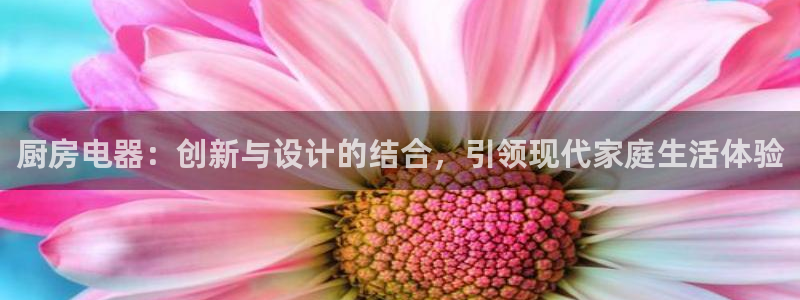 传奇电子cq9跳高高