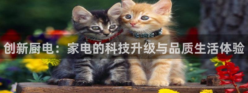 CQ9电子破解