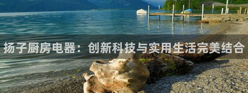 火凤凰cq9电子舞