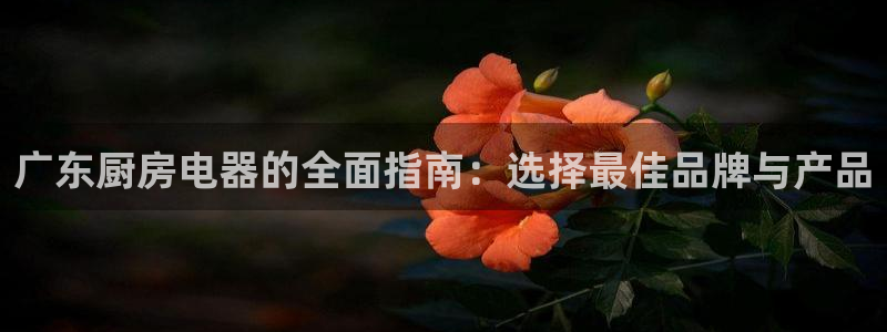 cq9电子平台在线
