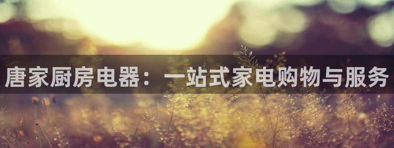 cq9电子棋牌