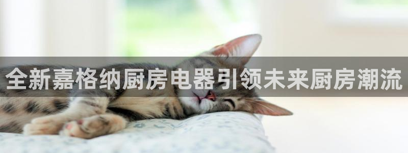 玩转cq9电子游艺