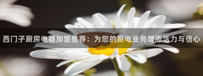 cq9电子发财神