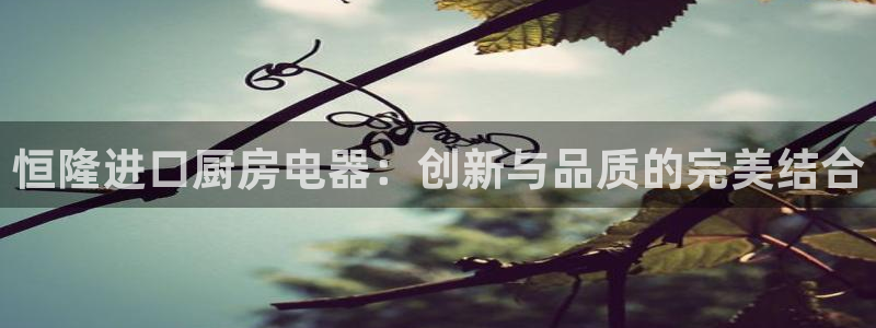 vns电子cq9