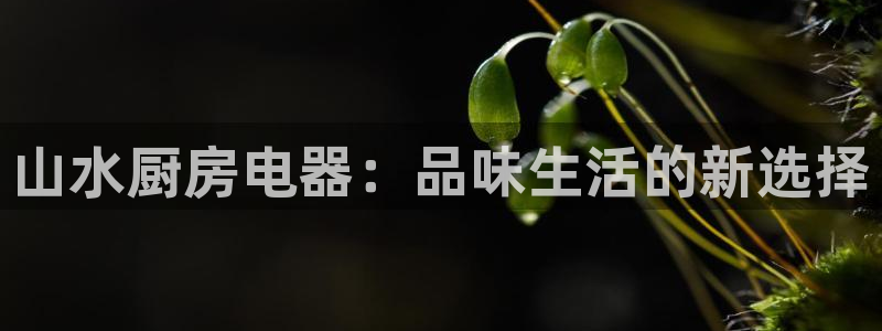 cq9电子武