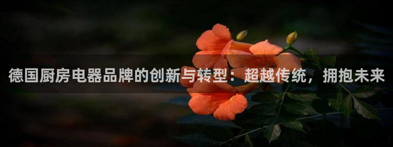 cq9电子游艺授权平台