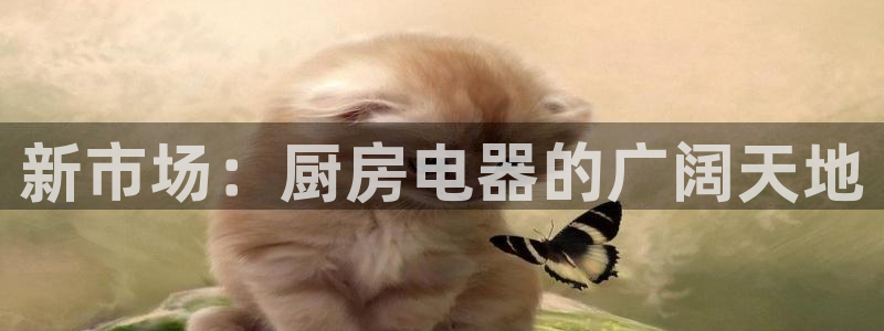 CQ9电子许cf66