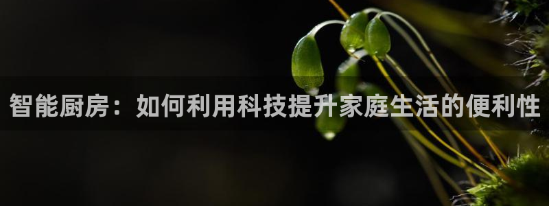 网赌电子CQ9爆分视频