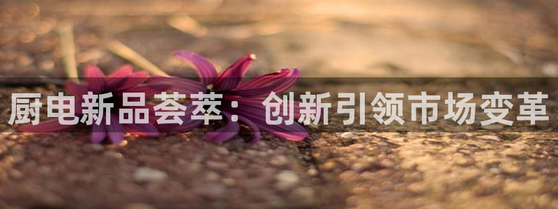 cq9宙斯电子下载