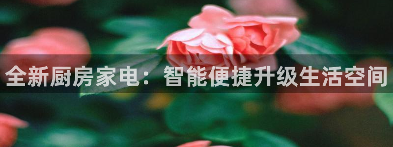 传奇电子cq9浴火