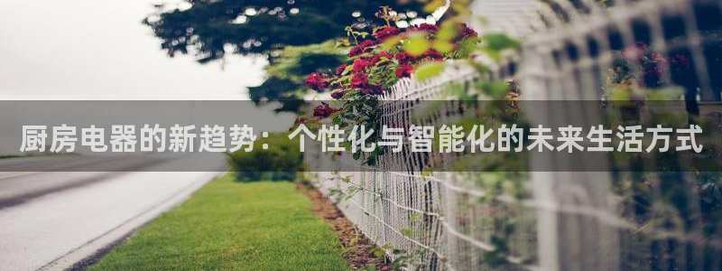 国外cq9电子比赛