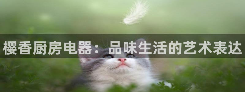 雷神电子cq9