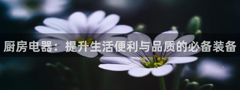 cq9传奇电子dj
