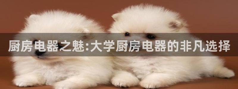 cq9电子充值平台