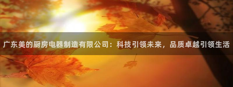 传奇电子cq9火凤凰