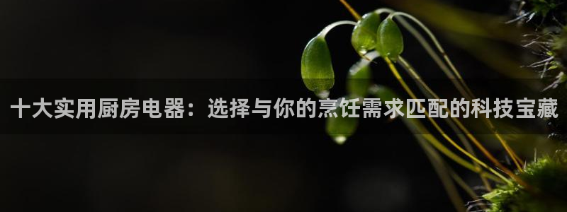 cq9电子大圣