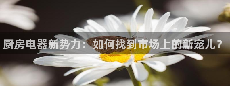 cq9电子怎么爆分