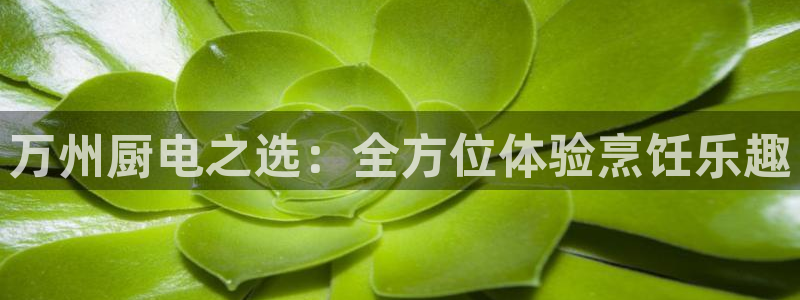 cq9传奇电子注单