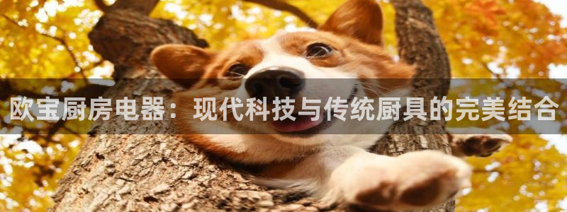 cq9电子哪吒