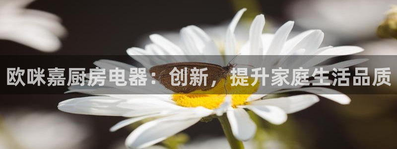 CQ9 传奇电子