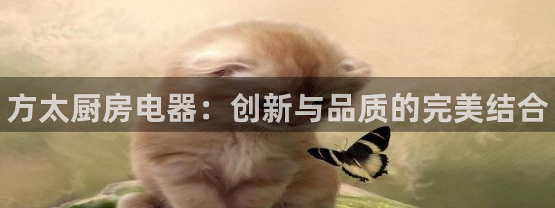 cq9电子传奇试玩