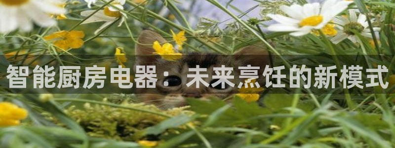 CQ9电子移分教程