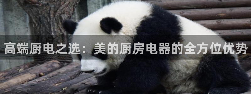 CQ9传奇电子 官网